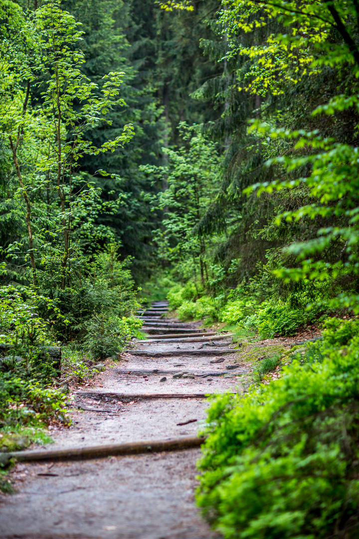 Waldweg