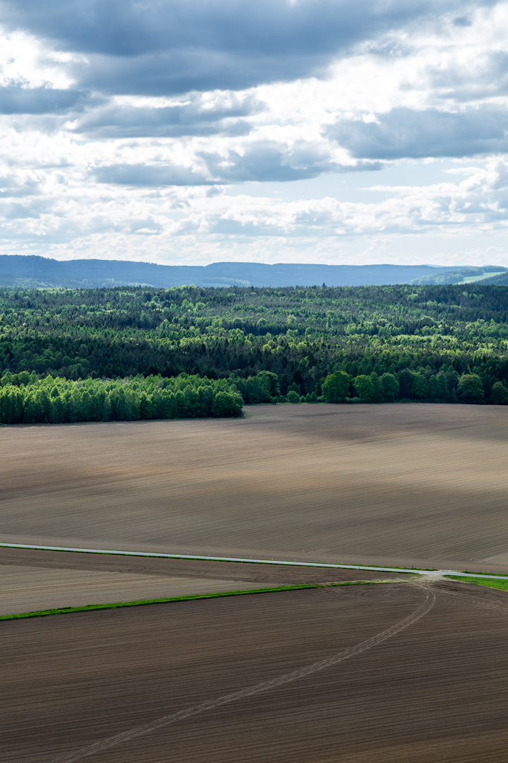 Wald und Flur